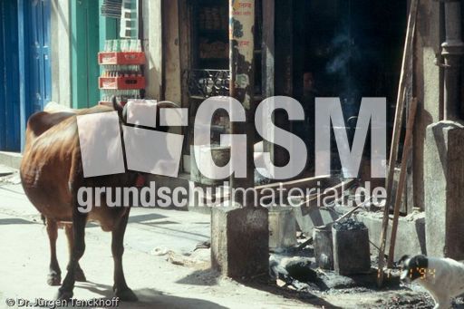 Nepal (31 von 124).jpg